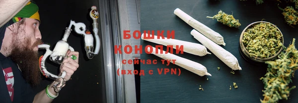 ПСИЛОЦИБИНОВЫЕ ГРИБЫ Абаза