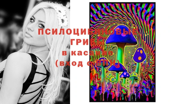 ПСИЛОЦИБИНОВЫЕ ГРИБЫ Абаза