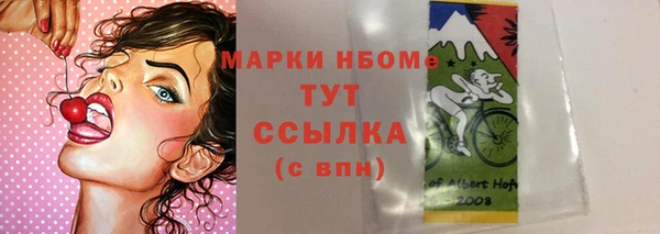 ПСИЛОЦИБИНОВЫЕ ГРИБЫ Абаза