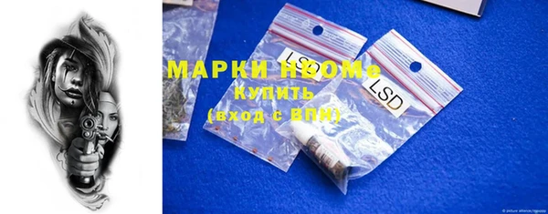 хмурый Алзамай