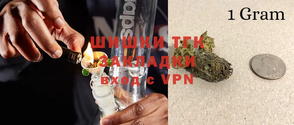 ПСИЛОЦИБИНОВЫЕ ГРИБЫ Абаза
