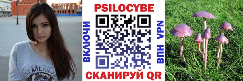 Псилоцибиновые грибы Magic Shrooms  сколько стоит  Инсар 